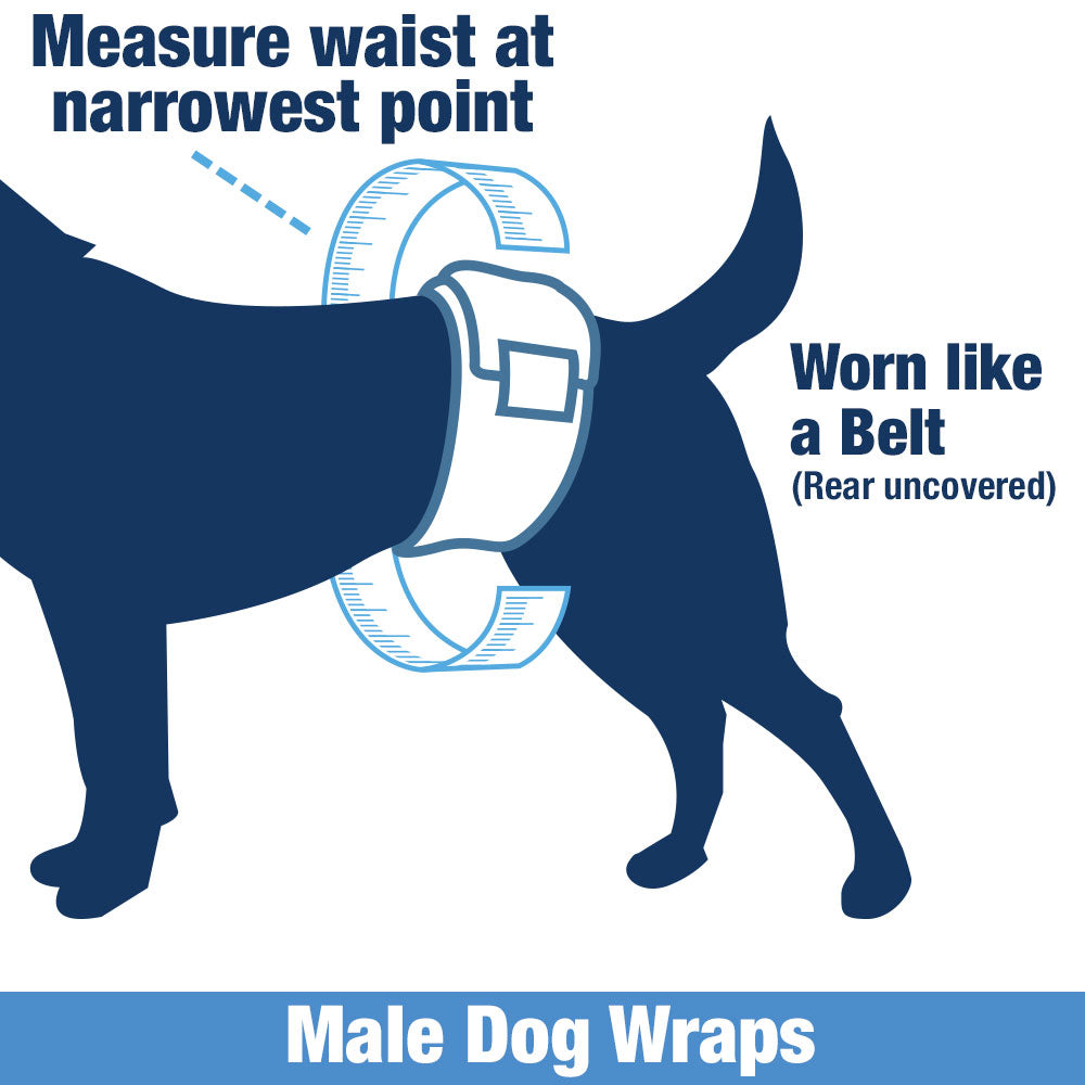 ValueWrap Male Wraps, Disposable Dog Diapers, Carbon, 1-Tab Small, 144 Count - Activated Charcoal, Snag-Free Fastener, Leak Protection, Wetness Indicator 