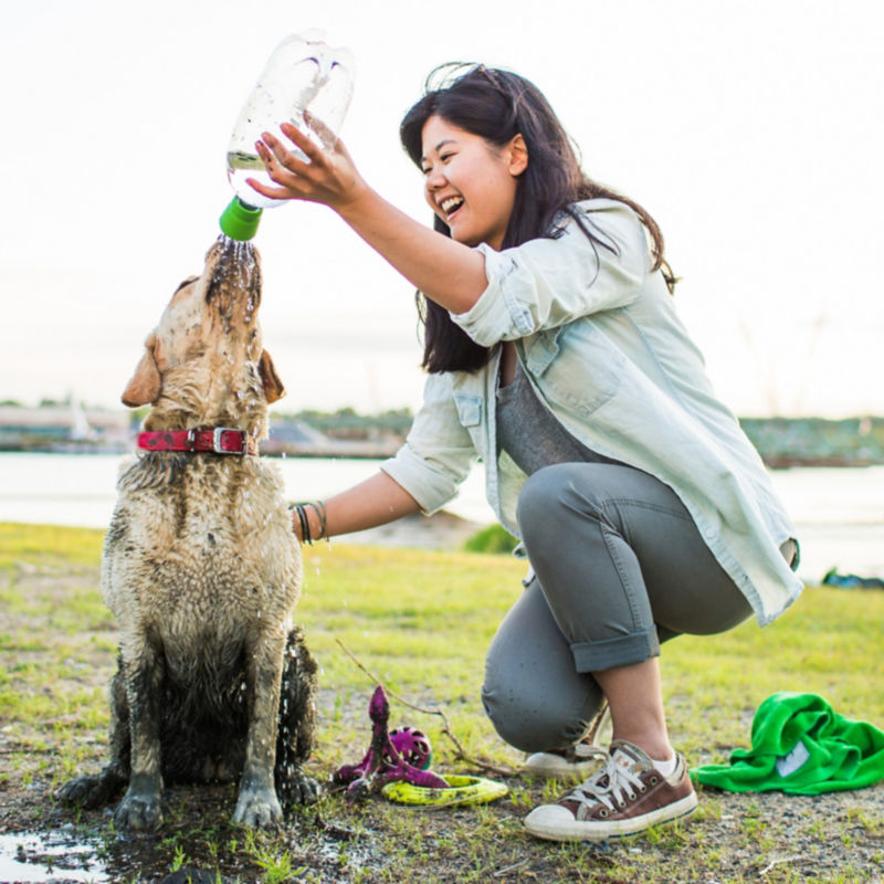 Mud Dog Travel Shower Attachment