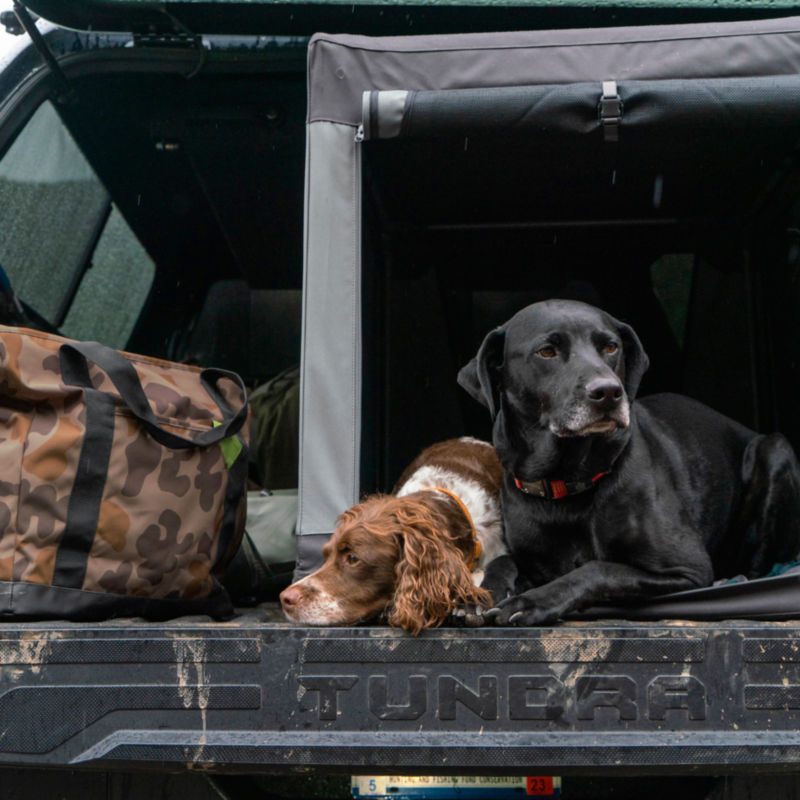 Tough Trail Folding Travel Dog Crate