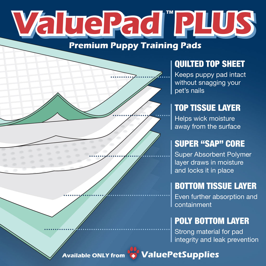 ValuePad Plus Puppy Pads, Extra Large 28x36 Inch, 200 Count BULK PACK - Premium Pee Pads for Dogs, Tear Resistant, Super Absorbent Polymer Gel Core, 5-Layer Design 