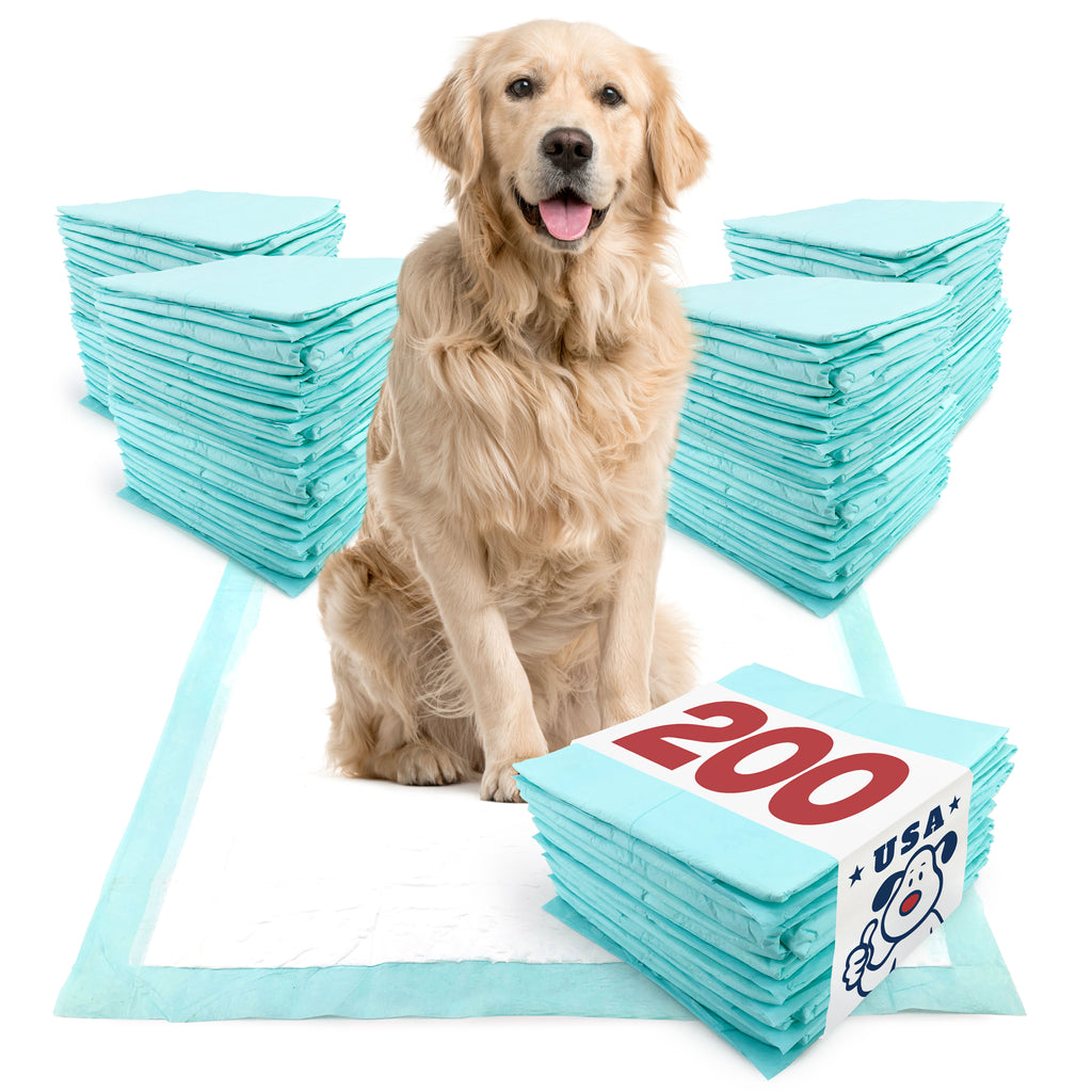 ValuePad USA Plus Puppy Pads, Extra Large 28x36 Inch, 200 Count BULK PACK - Premium Puppy Pee Pads for Dogs, American Made Puppy Pads, Tear Resistant, Super Absorbent Polymer Gel Core, 5-Layer Design 